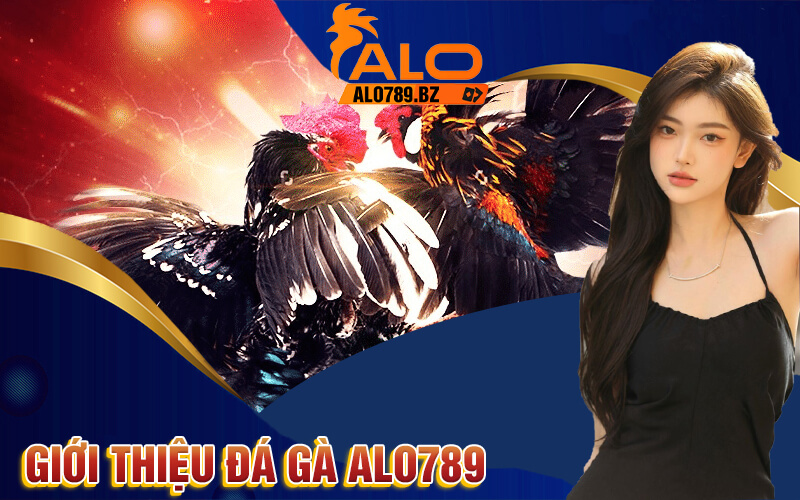 Đá Gà Alo789 - Trải Nghiệm Đá Gà Đẳng Cấp Tại Alo789 2 Giới Thiệu Đá Gà Alo789