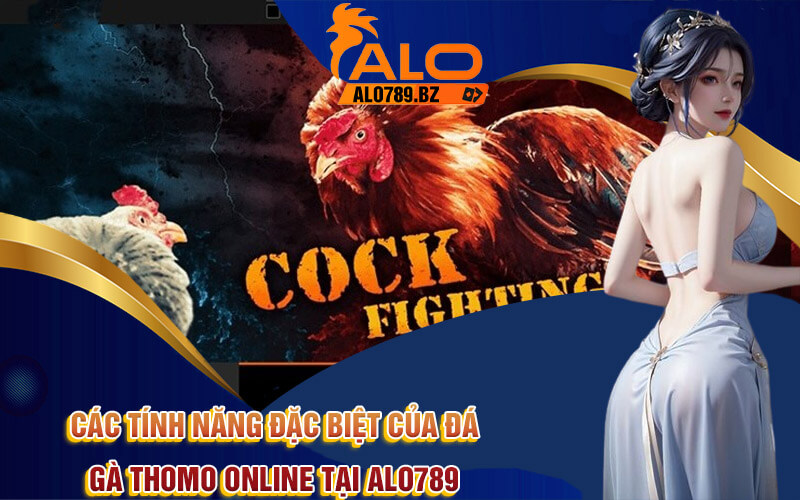 Đá Gà Trực Tiếp - Cá Cược Đá Gà Thomo Online Tại Alo789 5 Các tính năng đặc biệt của Đá gà thomo Online tại Alo789