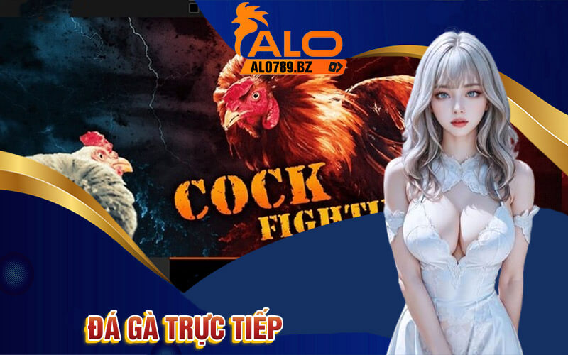 Đá Gà Trực Tiếp