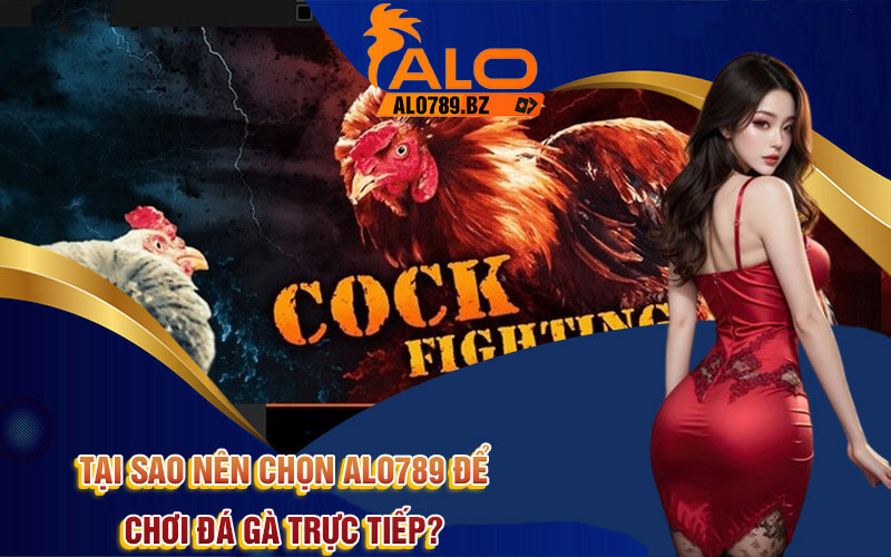 Đá Gà Trực Tiếp - Cá Cược Đá Gà Thomo Online Tại Alo789 4 Tại sao nên chọn Alo789 để chơi Đá gà trực tiếp?