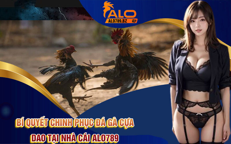Đá Gà Cựa Dao - Trải Nghiệm Đá Gà Cựa Dao Hấp Dẫn Tại Alo789 4 Bí quyết chinh phục Đá gà cựa dao tại nhà cái Alo789