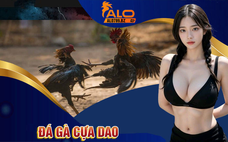 Đá Gà Cựa Dao