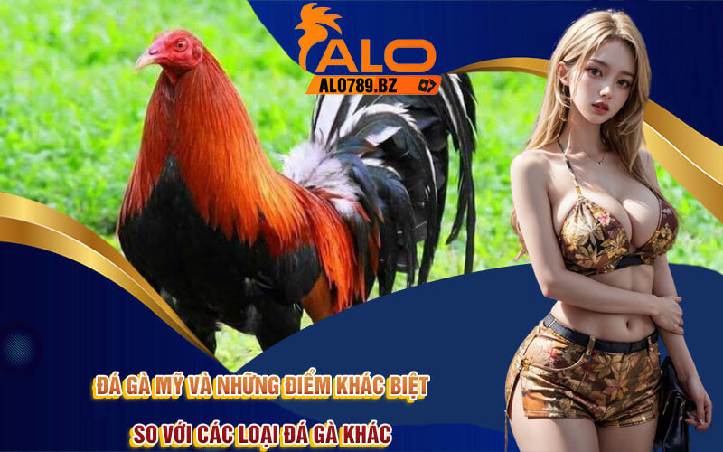 Đá Gà Mỹ - Khám Phá Trào Lưu Đá Gà Độc Đáo Tại Alo789 3 Đá Gà Mỹ và những điểm khác biệt so với các loại đá gà khác
