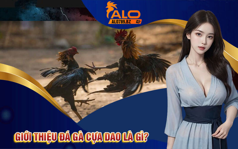 Đá Gà Cựa Dao - Trải Nghiệm Đá Gà Cựa Dao Hấp Dẫn Tại Alo789 2 Giới thiệu đá gà cựa dao là gì?