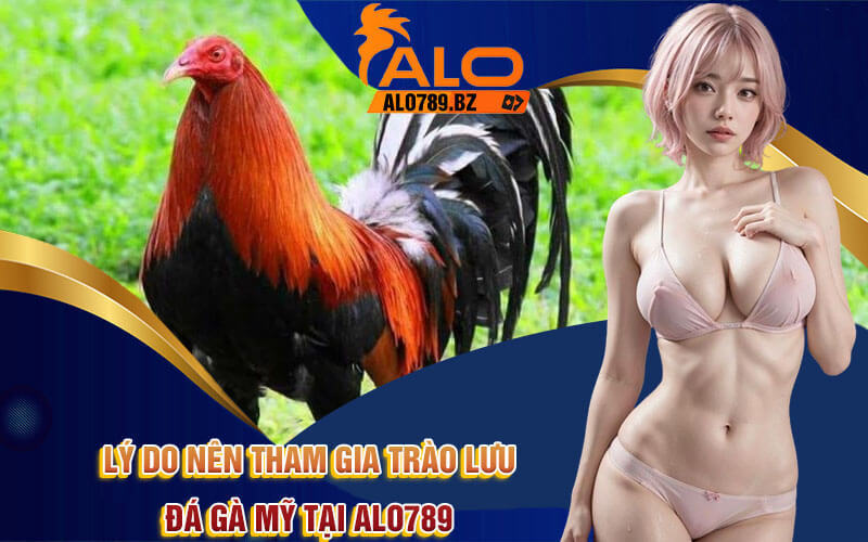 Đá Gà Mỹ - Khám Phá Trào Lưu Đá Gà Độc Đáo Tại Alo789 4 Lý do nên tham gia trào lưu đá gà Mỹ tại Alo789