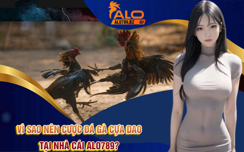 Đá Gà Cựa Dao - Trải Nghiệm Đá Gà Cựa Dao Hấp Dẫn Tại Alo789 3 Vì sao nên cược đá gà cựa dao tại nhà cái Alo789?