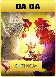 ALO789 - NHÀ CÁI UY TÍN SỐ 1 ALO789.COM - ĐĂNG KÝ NHẬN 100K 2 bn game 2