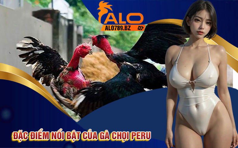 Gà Chọi Peru - Thông Tin Chi Tiết Về Giống Gà Thú Vị Tại Alo789 2 Đặc điểm nổi bật của Gà Chọi Peru